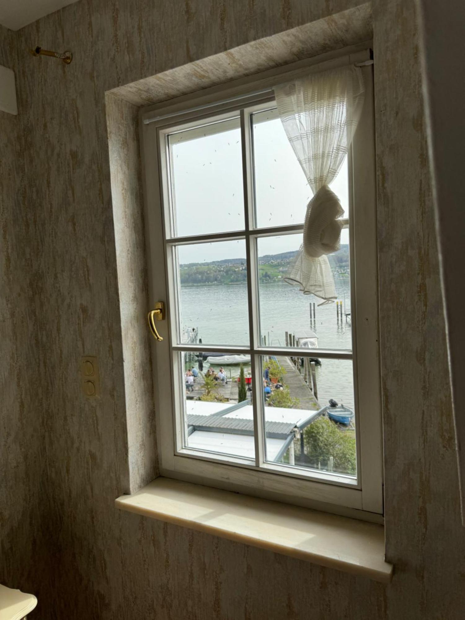 See-Hotel Seeschau - Direkt Am Bodenseeufer 赖歇瑙 外观 照片